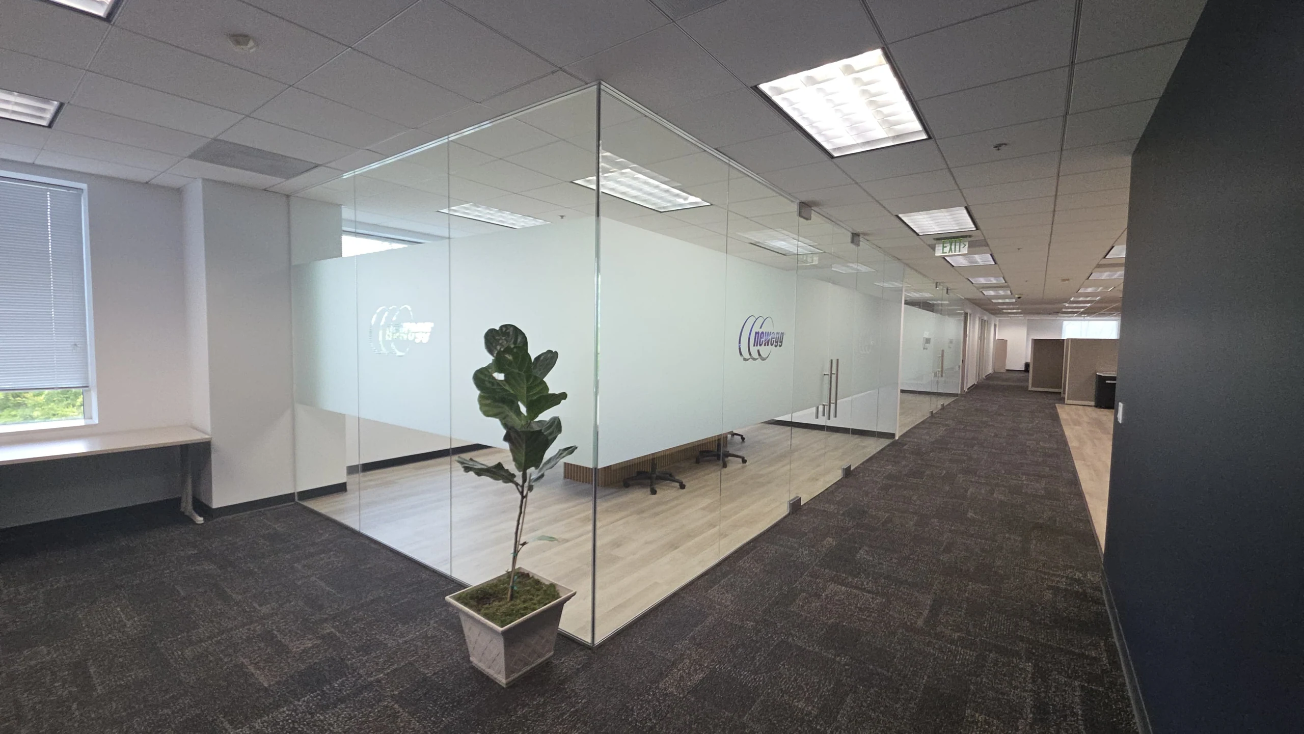 Glass partition walls with frosted privacy bands enclosing meeting rooms beside an office corridor at Newegg.